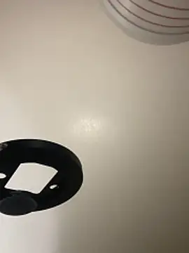 Show de TheMotherPearl na webcam