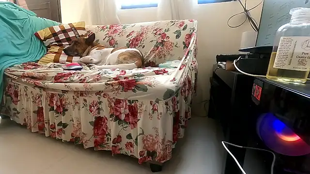 Show Webcam de stripchatmodel69