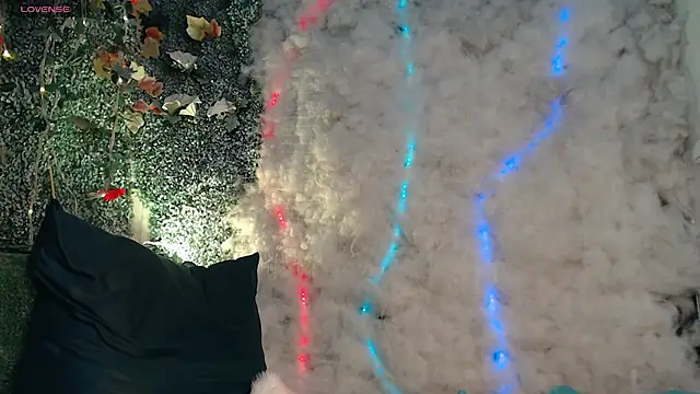 Walkers05 Show Webcam