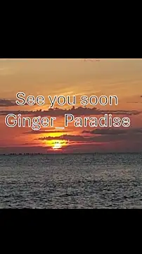 Ginger_Paradise 라이브 XXX 채팅