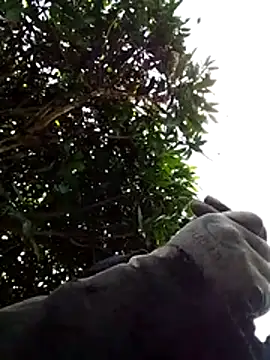 Ginny_2x 在線直播表演