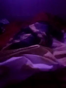 Vixi5o – Kamerová šou