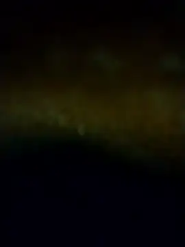 Mike_43 – webcam-show