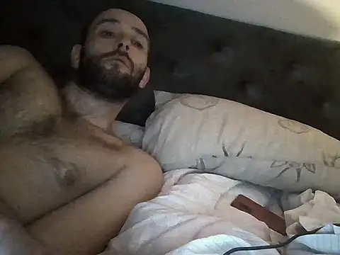 InferredPloce Show in webcam