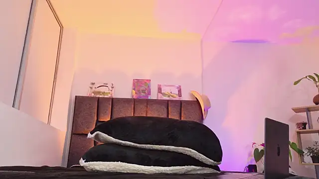 Sebastian_Reed – Naživo XXX chat