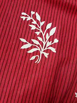 Show webcam de Splashyblackboard2