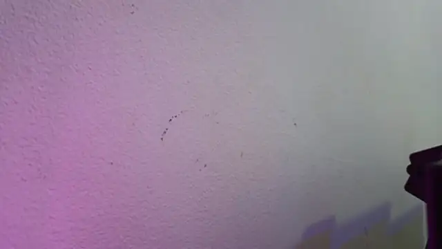 The_Wicked_Queens02: διαδικτυακό σόου στην κάμερα