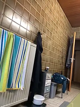 Show de webcam de ElMerge