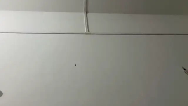 Miss_lilly_69 webcam show