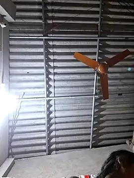 ranidas99's Live XXX Chat