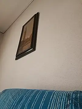 Sony28v – webcam-show