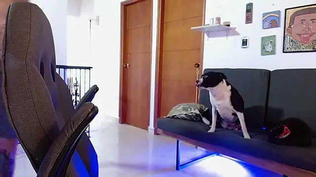 harry_reems1: о нлайн-секс-чат