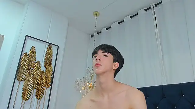 عرض كام AerumChae