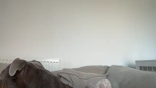 Chatroom XXX en direct de maisiesmithx