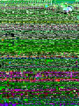 NaytonFreeman élő XXX-chatje