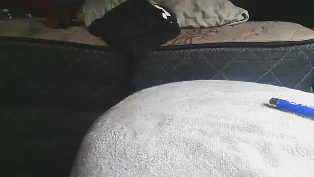 Chatroom XXX en direct de bobbybullit