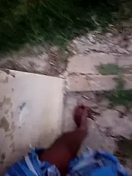 dolphiinn webkamerás műsora