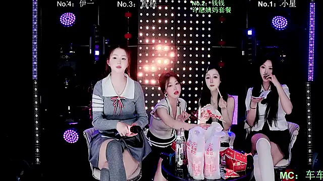 ZZ00033S Webcam Show