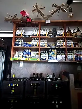 catalella16のウェブカメラショー