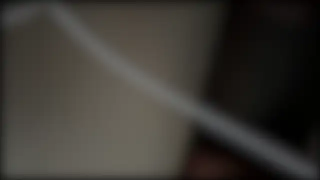 adelaide2026n Webbikameraesitys