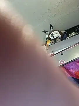 In2itvegassstyle Show in webcam