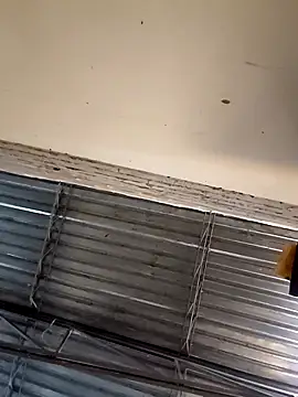 Genesis_18_: вебкам-шоу