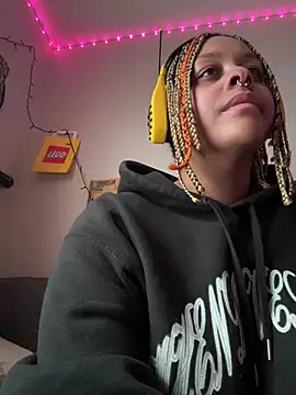 Show Webcam de nintendhoe