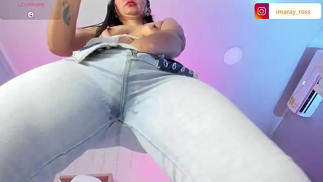 Imaray_1_ 网络视讯表演