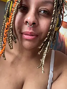 nintendhoe's Webcam Show