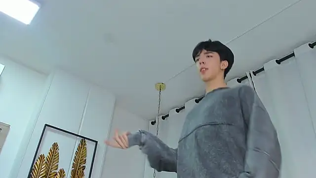 عرض كام AerumChae