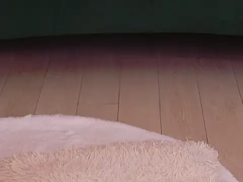 Bailey_Rushn Webbikameraesitys