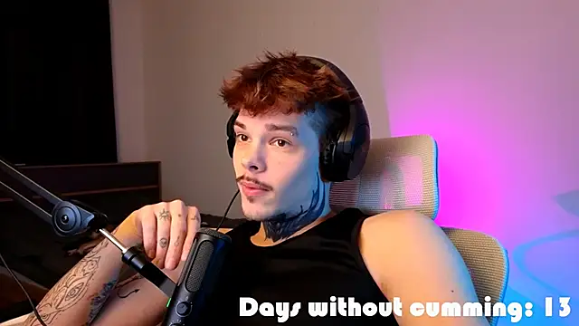 DENIS_HEREn Webbikameraesitys