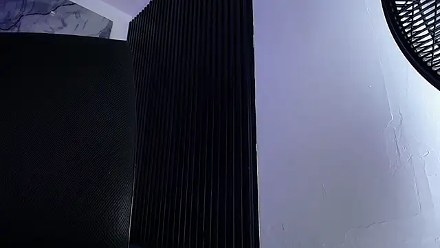 Grant_Ironsn Webbikameraesitys