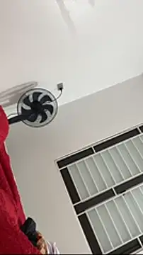 Show webcam de vietAnhzip