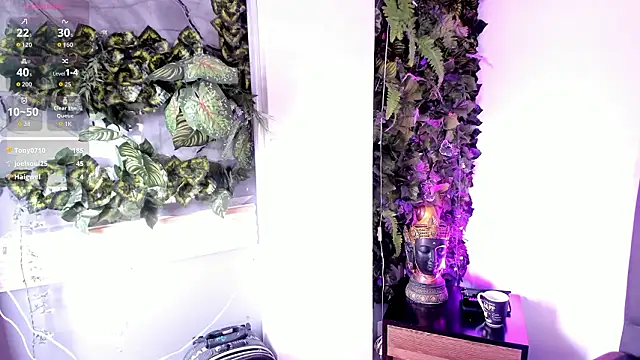 Fernanda_liie_: онлайн-секс-чат