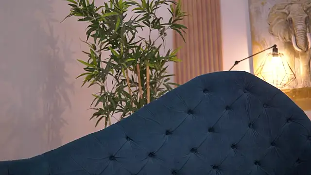 Aisha_Bee 现场XXX聊天