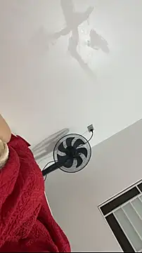 Webkamerová show vietAnhzip