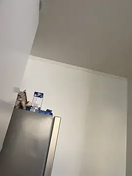 WHITEWOMEN_2's Live XXX Chat