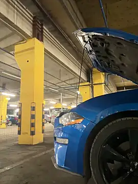 Živý XXX chat -AngelAri-