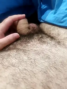 Show Webcam de florin421