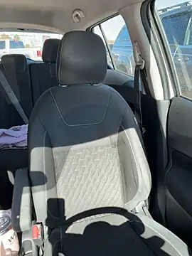 Chat XXX en directo de bigdickens69BWC