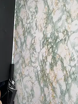 Belanny-LSのウェブカメラショー