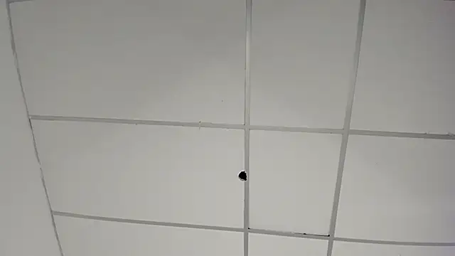 Chatroom XXX en direct de angiexht