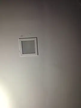 piggylatino's Webcam Show