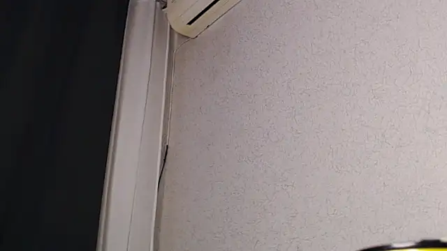 polimun webkamerás műsora