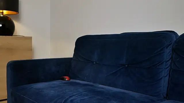 Вебкам-шоу BellaBlush03