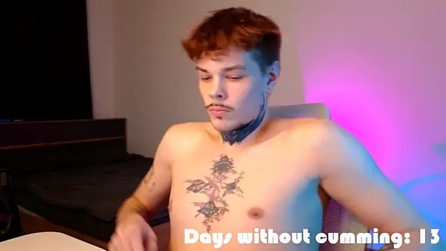 Show Webcam de DENIS_HERE