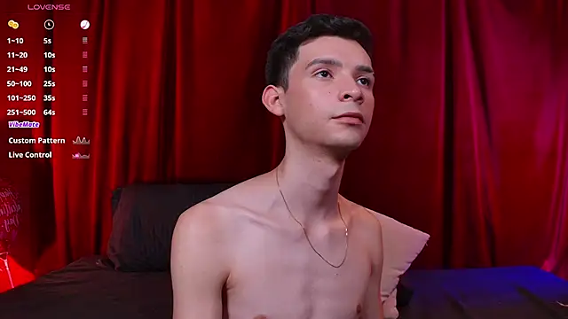 VicenteFerrer Show Webcam