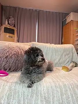 Y2LuvkのライブXXXチャット