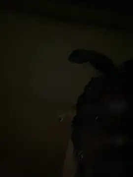 KandyHot_ Live XXX-chat